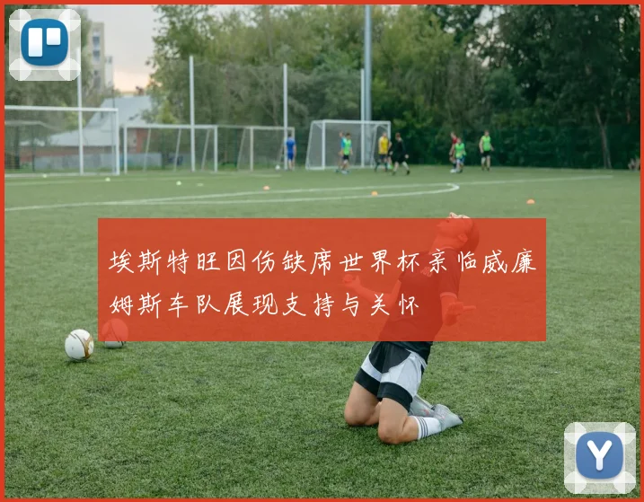埃斯特旺因伤缺席世界杯亲临威廉姆斯车队展现支持与关怀