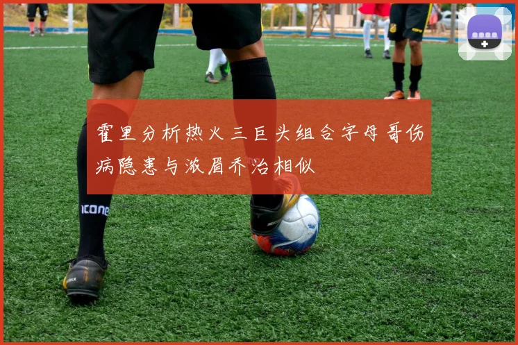 霍里分析热火三巨头组合字母哥伤病隐患与浓眉乔治相似