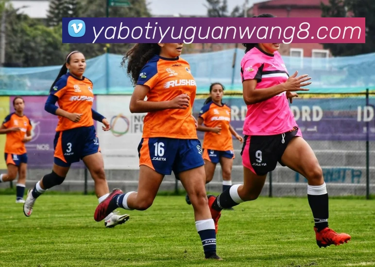 亚博体育官网平台生态图